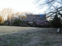 広場2.jpg