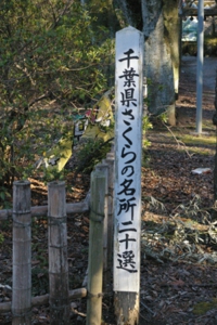 標2.jpg