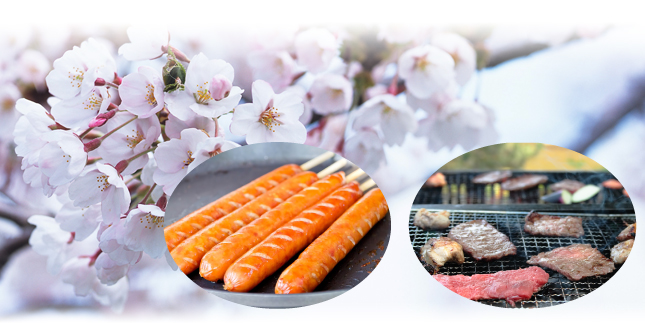 hanami.jpg