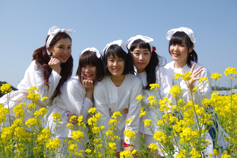 WB菜の花全写真.JPG